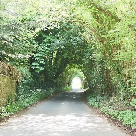 Idyllic Vine Farmhouse 度假居